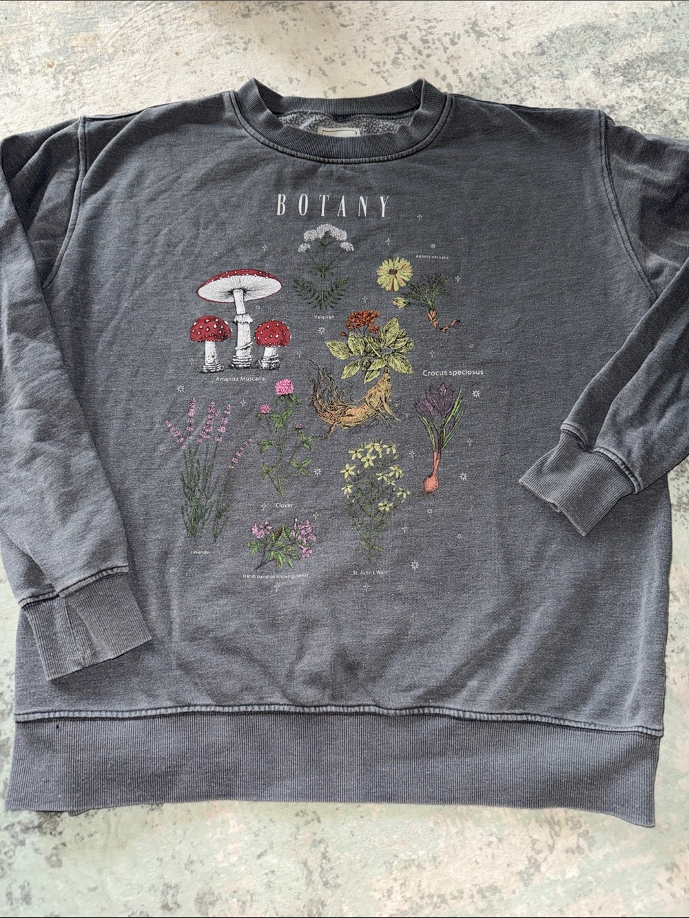 Modish Rebel Botany Graphic Charcoal Women's Crewneck Sweatshirt, Size M